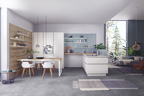 Contemporary Kitchens