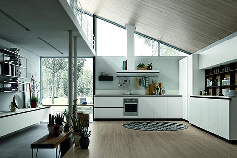 Modern Kitchen Cabinets